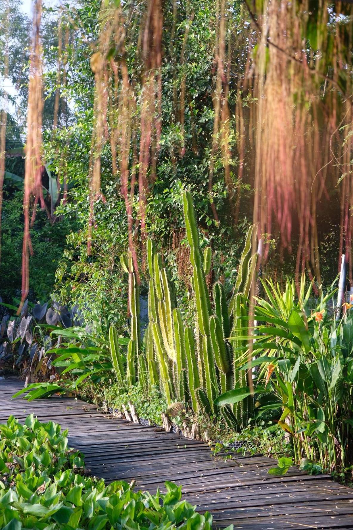 Bungalow - Farmstay Hoa Rung U Minh Cà Mau Екстериор снимка