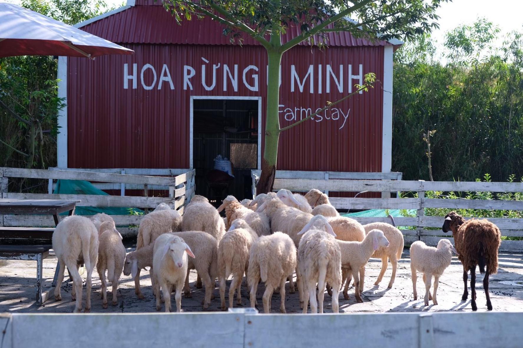 Bungalow - Farmstay Hoa Rung U Minh Cà Mau Екстериор снимка