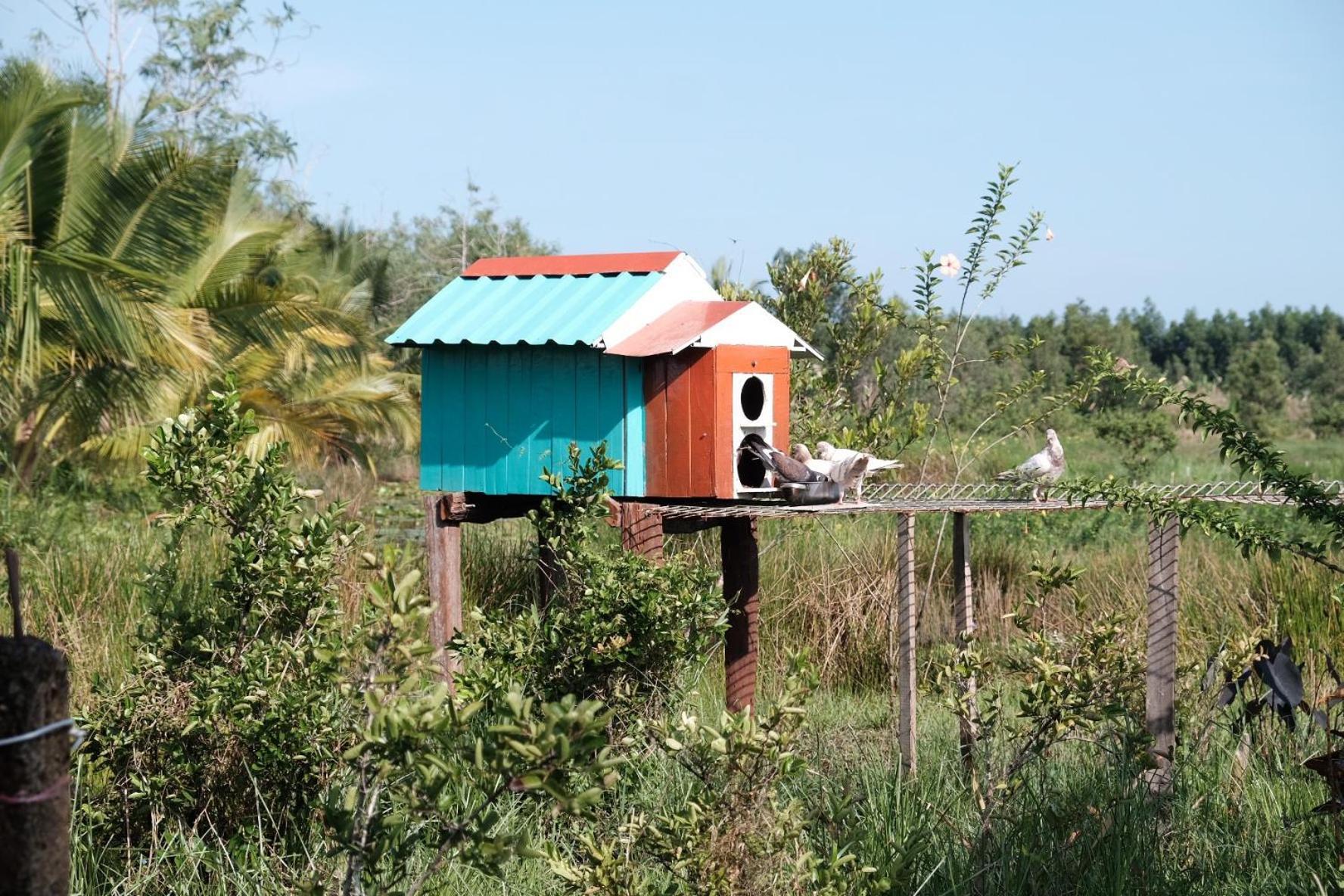 Bungalow - Farmstay Hoa Rung U Minh Cà Mau Екстериор снимка